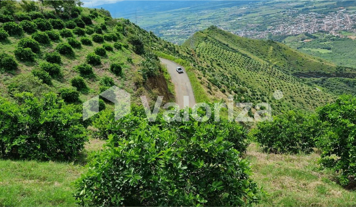 vista_2